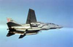an-f-14a-tomcat-attached-to-the-checkmates-of-fighter-squad[...].jpg