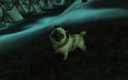 World Of Warcraft 01.15.2017 - 22.05.58.08