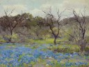 JulianOnderdonk-EarlySpring—BluebonnetsandMesquite-GoogleAr[...].jpg