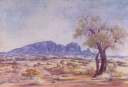 4.-NAMATJIRA.jpg