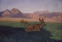 AlbertBierstadt-Deer.jpg