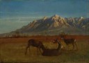 AlbertBierstadt-DeerinMountainHome.jpg