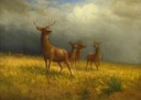 ThreeDeerandaStagbyAlbertBierstadt,c.1885.jpg