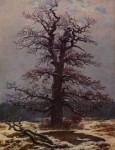 CasparDavidFriedrich-EicheimSchneeII.jpg