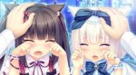 nekopara-vol.1-05.jpg