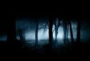forest-dark-fog-dark-forest-wallpaper.jpg