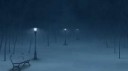 night-in-winter-park.jpg