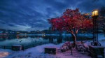 4540099-nature-trees-city-cityscape-norway-evening-winter-s[...].jpg