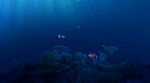 lifeunderwater-hdwallpapers.jpg