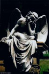 764-best-about-uplifting-wings-images-on-pinterest-cemetery.jpg