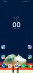 Screenshot20191016100006com.teslacoilsw.launcher.jpg