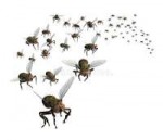 swarm-flies-5102782.jpg
