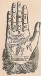 palmreading-272x500.jpg