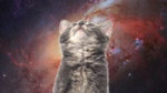 Space Cats — Magic FlyHD.webm