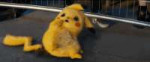 pika.gif