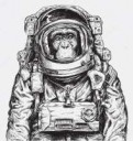 depositphotos123303808-stock-illustration-hand-drawn-monkey[...].jpg