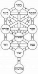 TreeoflifebahirHebrew.svg.png