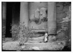 16807-Petra--Wadi-Musa---El-Khazneh--Equestrian-bas-relief-[...].png