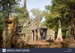 ta-prohm-ancient-buddhist-temple-ruins-in-the-forest-cambod[...].png