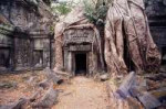 temple-ta-prohm-1200.png