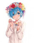 66721267p0.png