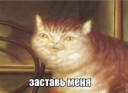 14578810253760