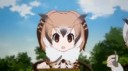 npkflv