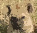 15047150630270(RGB)(autoscale)(Level1)(width 5000).png