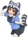 commonraccoonkemonofriendsdrawnbychiharu9654784d7bedbe2e7f7[...].jpg