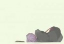 39504992p0.png