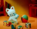  .webm