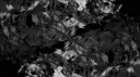.webm