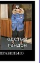 Снимок.PNG