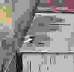 1528310790170.jpeg