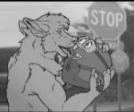 tumblrp8ku5mahNw1tq9awno11280.jpg