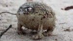  .webm