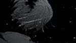  .webm