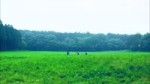  .webm