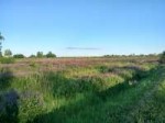 IMG2018-06-17193208HDR.jpg
