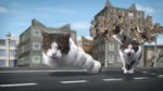 14630796393220.webm