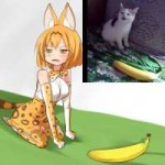  .jpg