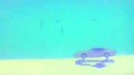  .webm