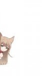 .png