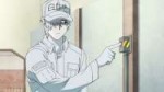 [HorribleSubs] Hataraku Saibou - 01 [720p].mkvsnapshot19.04.jpg