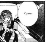 .jpg