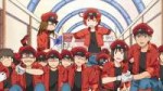 [HorribleSubs] Hataraku Saibou - 02 [1080p].mkvsnapshot11.0[...].jpg