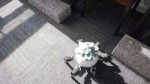 1531690400698.gif
