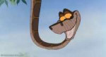 Kaa.jpg