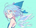 Cirno.600.2025924.jpg