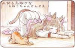 73598301p0.jpg